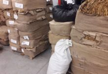 Photo of 2,5 tony sprasowanego tytoniu ukryte w lesie